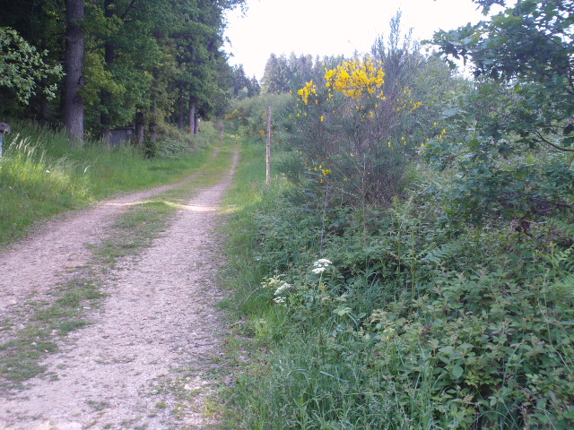 2014hwk 081.jpg